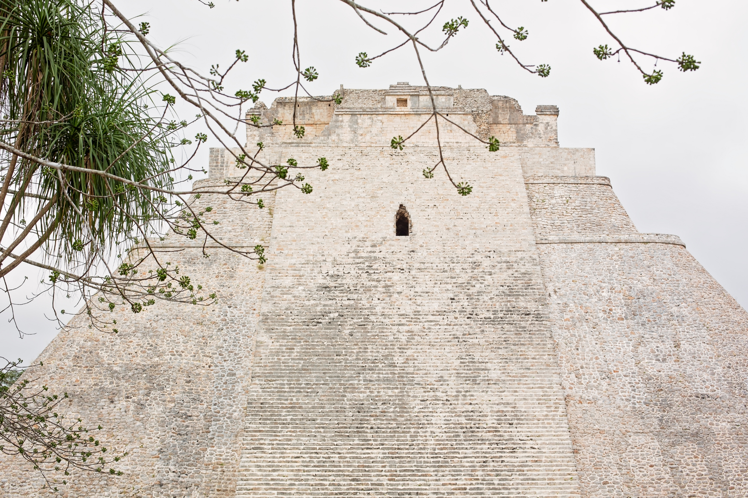 progresso (4).webp
